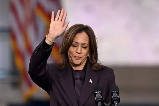 Why did Kamala Harris lose US presidential election? Putting together the pieces of a puzzle