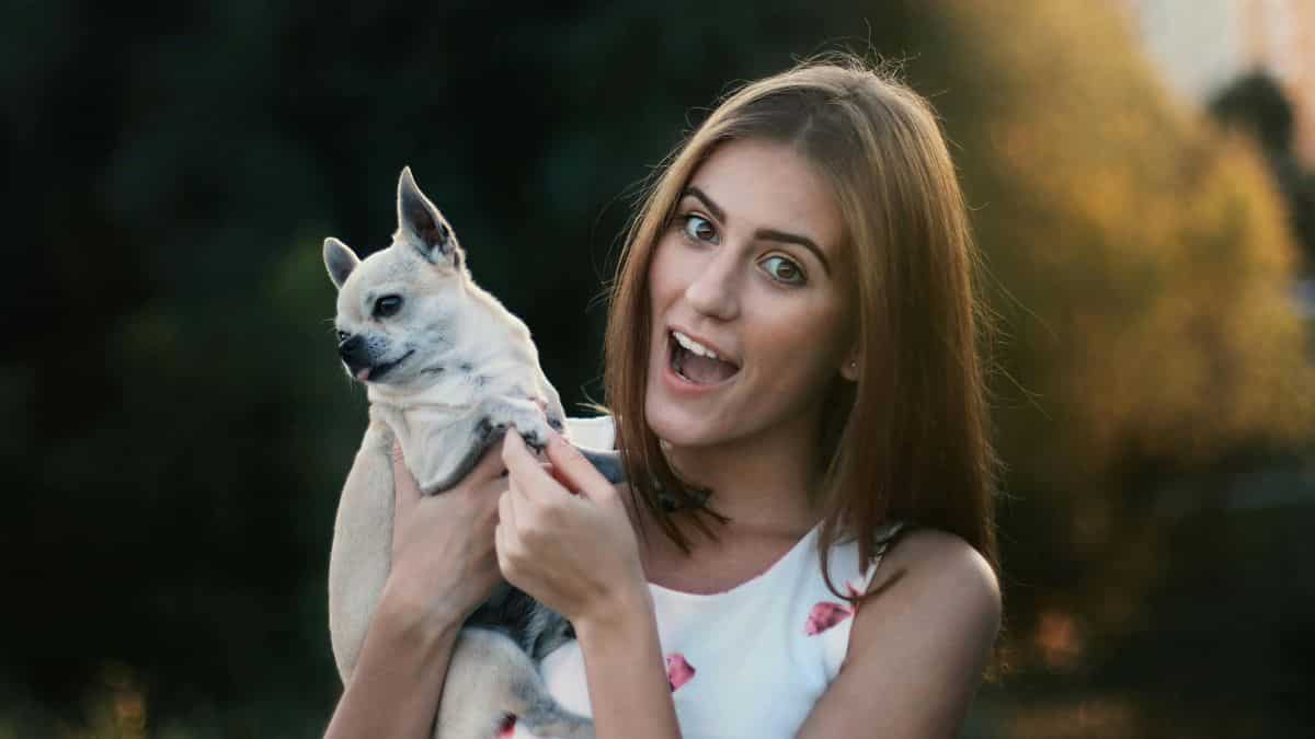 Do Americans prefer pets over kids? Check what recent poll found