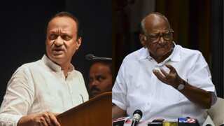 ‘Stand on your own legs,’ SC scolds Ajit-led NCP over using Sharad Pawar’s images in campaigning