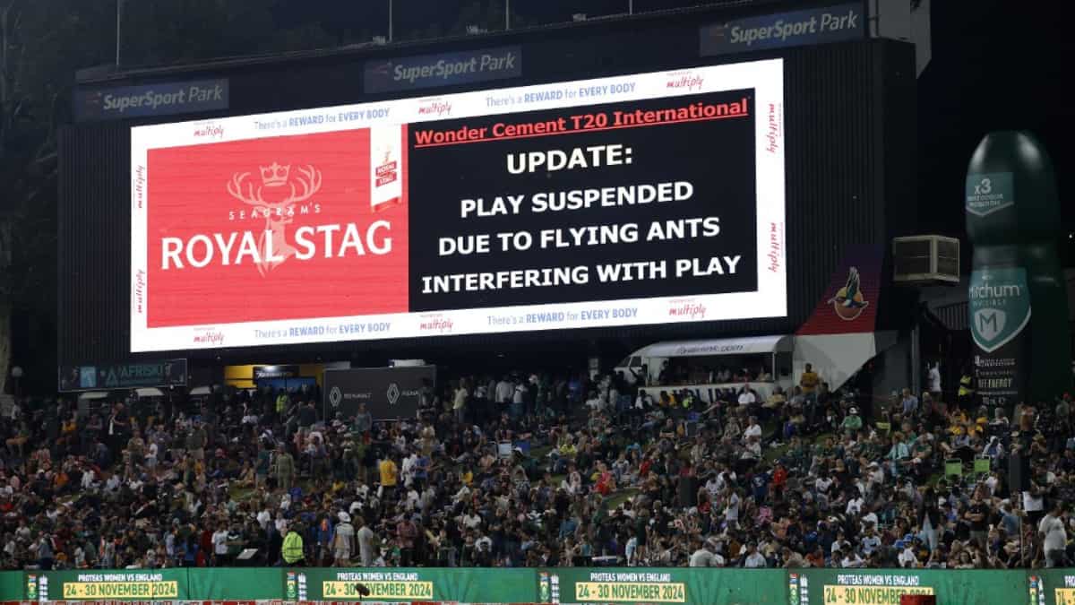 IND vs SA, 3rd T20I: BIZARRE! Flying Ants stop play as South Africa chase 220 IND vs SA, 3rd T20I: BIZARRE! Flying Ants stop play as South Africa chase 220
