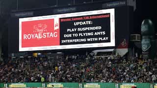 IND vs SA, 3rd T20I: BIZARRE! Flying Ants stop play as South Africa chase 220