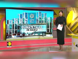 Can COP29 Provide Solution To Climate Change?