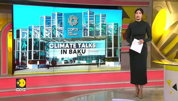 Can COP29 Provide Solution To Climate Change?