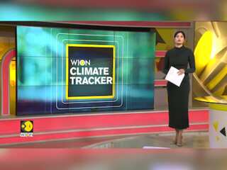 Will COP29 Really Make A Difference?
