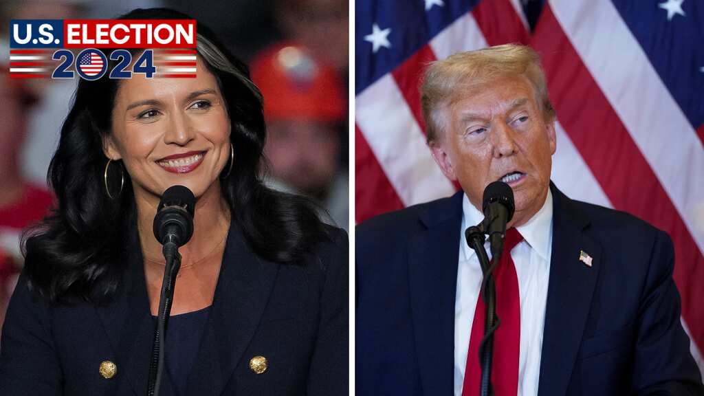 Tulsi Gabbard is the new US director of national intelligence. Who is she?