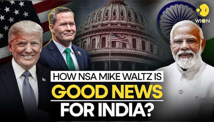 Who Is China Hawk Mike Waltz, Donald Trump’s Pick For National Security Adviser? | WION Originals