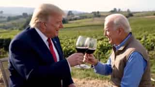 ‘Missed you in the race’: Trump and Biden ‘bromance’ in AI video, spend day drinking and dancing