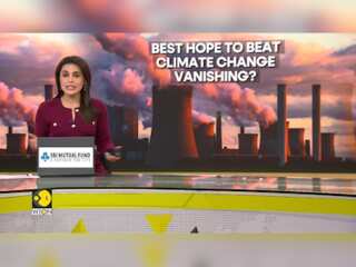 COP29 Talks In Limbo As Fed Refuses To Back Basel Climate Plan