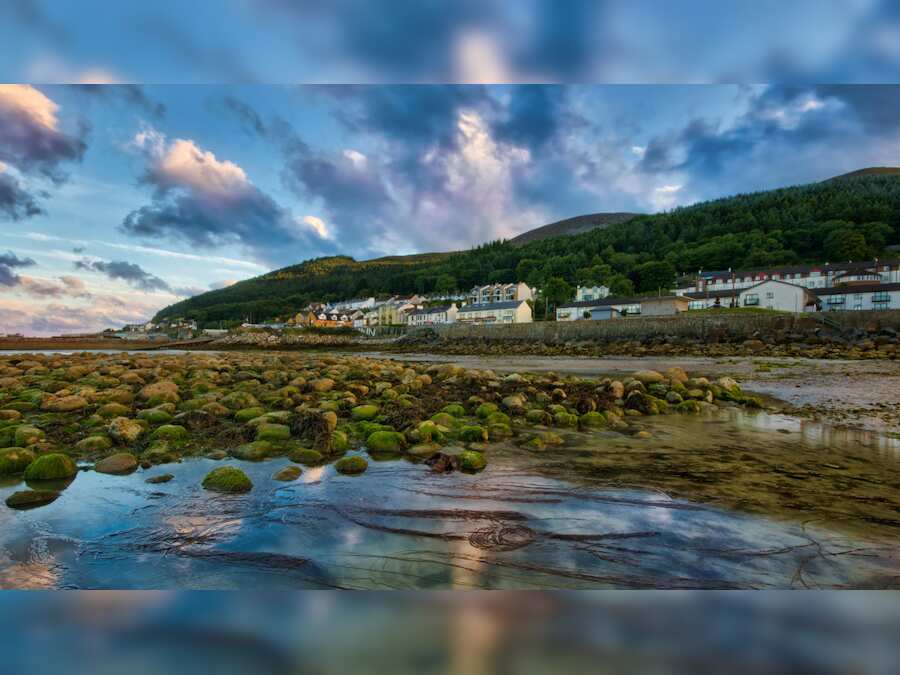 Mentally ill son allegedly kills millionaire dad at Irish resort. He was there to help him