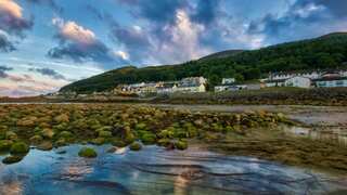Mentally ill son allegedly kills millionaire dad at Irish resort. He was there to help him