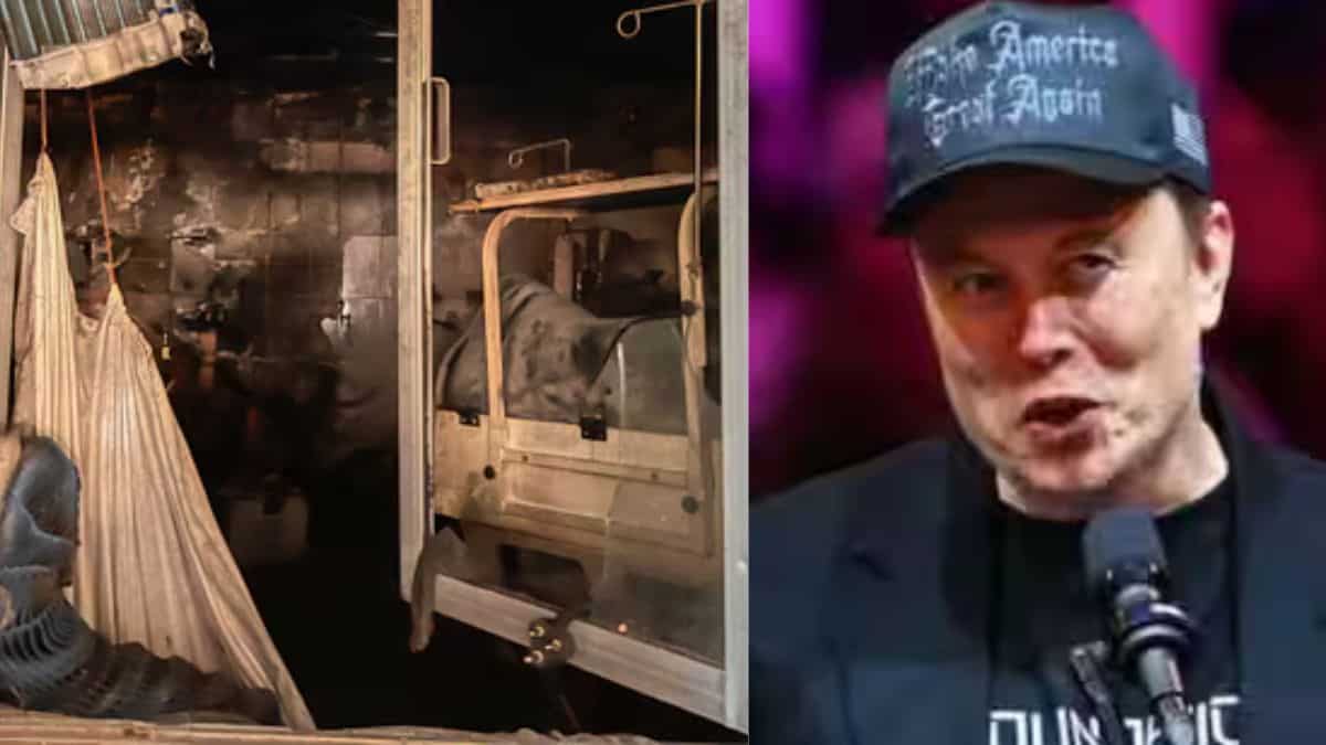 Top 10 world news: Team formed to probe Jhansi fire incident; Iran denies meeting with Musk, and more Top 10 world news: Team formed to probe Jhansi fire incident; Iran denies meeting with Musk, and more