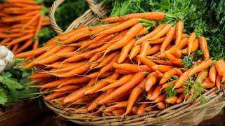 Fresh E.coli outbreak in US: 1 dead, dozens infected after eating bacteria-contaminated carrots