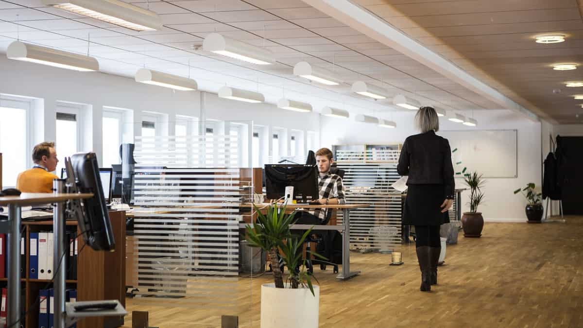 THIS firm helps people 'scold' bosses without any fear of repercussion in US