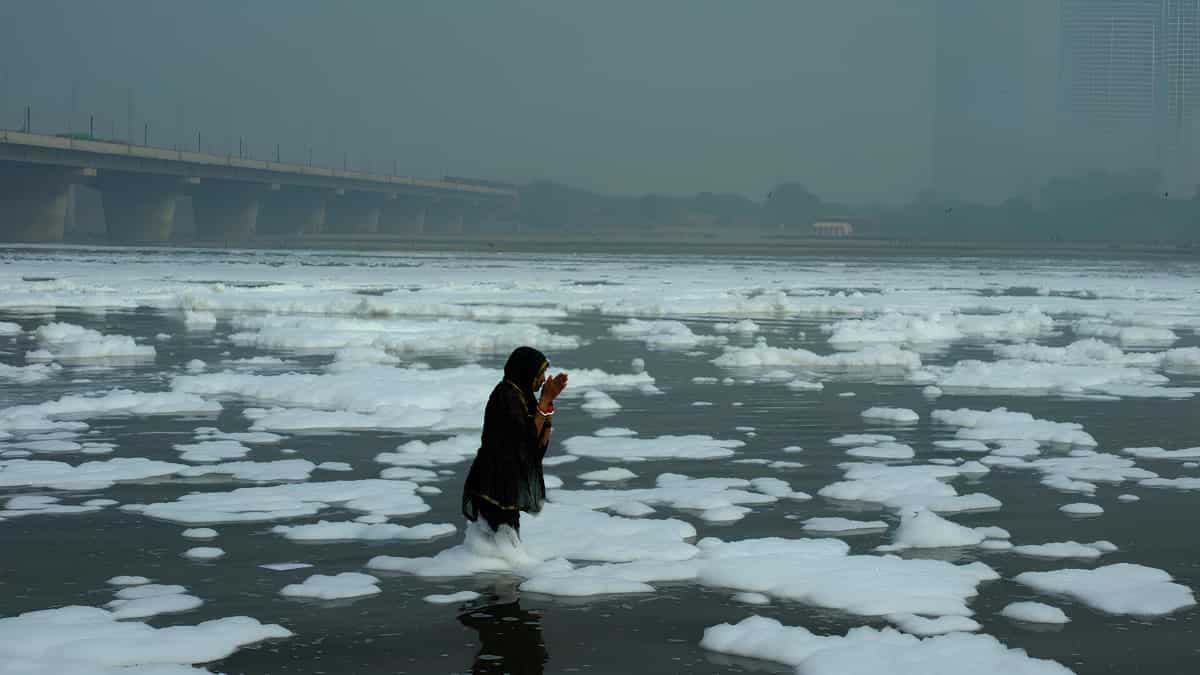ALT EFF 2024 will showcase facets of environmental narratives through powerful storytelling