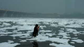 ALT EFF 2024 will showcase facets of environmental narratives through powerful storytelling