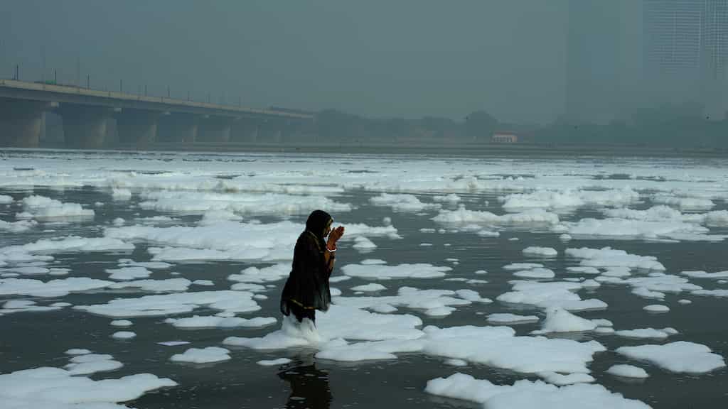 ALT EFF 2024 will showcase facets of environmental narratives through powerful storytelling