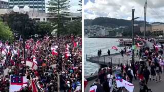 Over 40,000 people protest outside New Zealand's parliament over controversial Maori rights bill