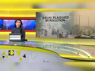 Delhi Air Pollution Crisis: Work From Home For 50% Delhi Government Employees