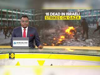 Israel-Hamas War: Palestinian Envoy Denounces US Decision To Veto Gaza Resolution