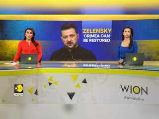 Russia-Ukraine War: Ukrainian President Says, 'We Can't Lose Lives  To Retake Crimea'
