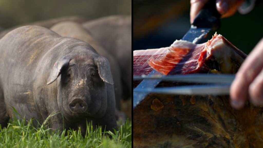 Ham heist worth over $200,000 occurs in 'unusual' location in Spain