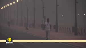 Is Stubble Burning The Real Cause Of Delhi Air Pollution? | WION Wideangle