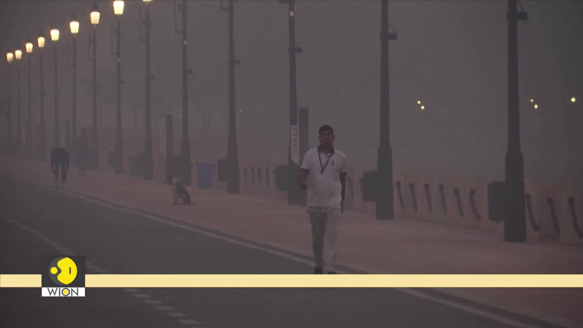 Is Stubble Burning The Real Cause Of Delhi Air Pollution? | WION Wideangle