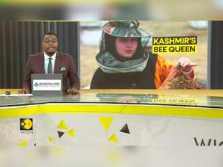Bee Queen Of India's Jammu & Kashmir
