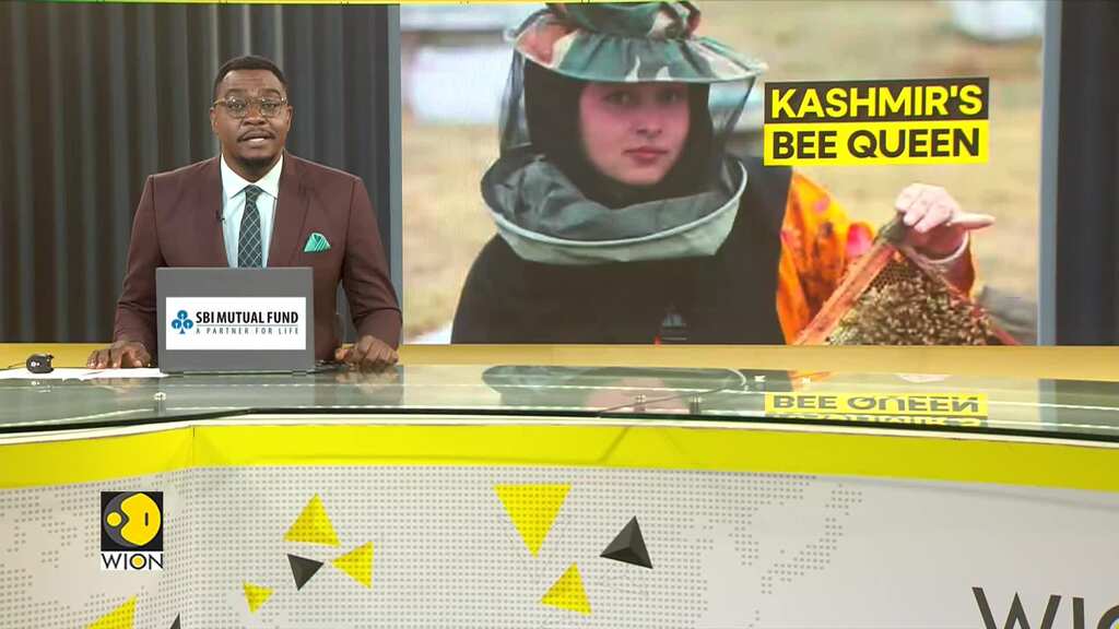Bee Queen Of India's Jammu & Kashmir