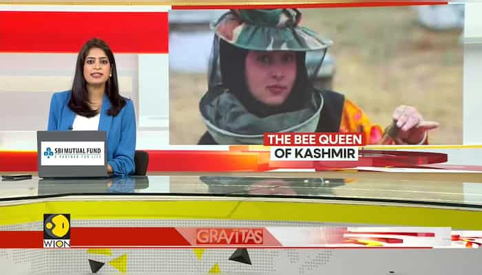Bee Queen Of India's Jammu & Kashmir