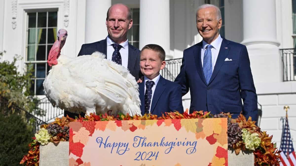 Biden opens last holiday season at the White House with turkey pardons, Christmas tree