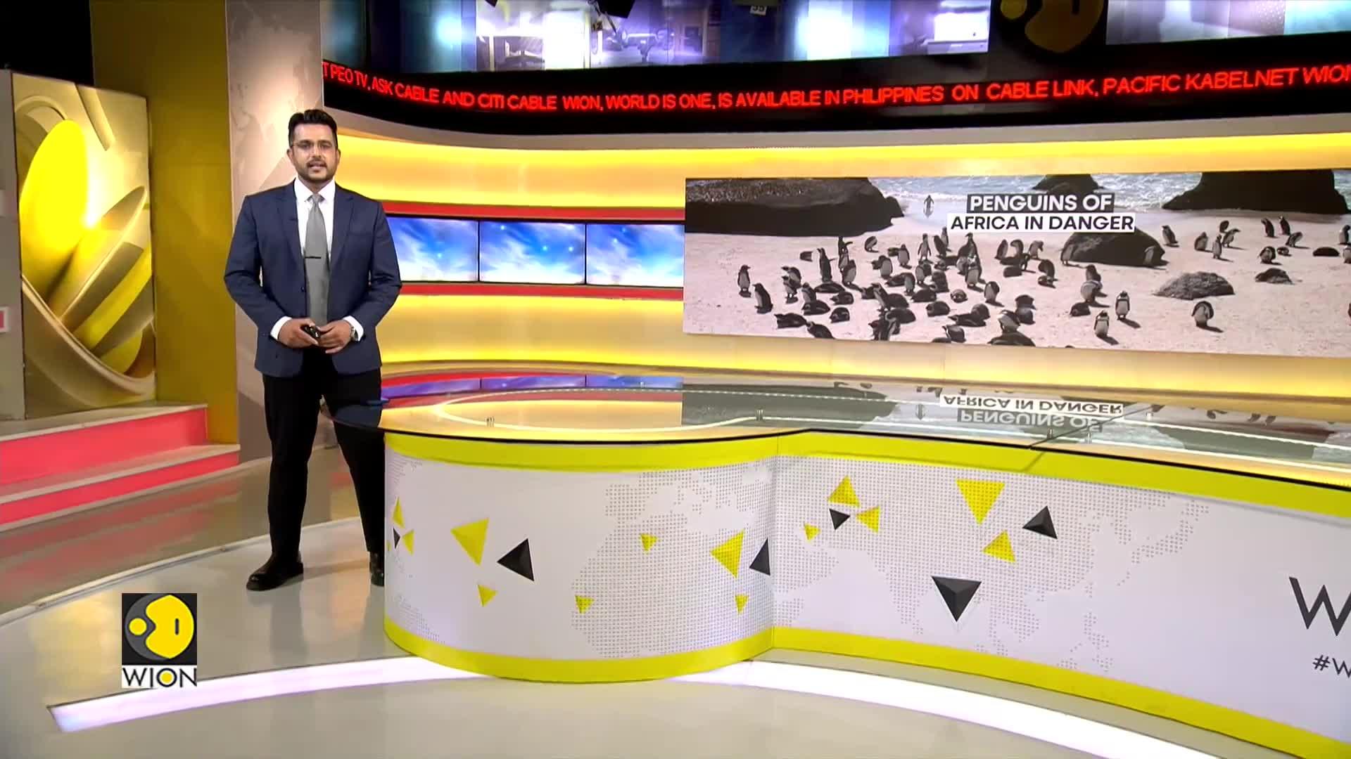 WionNews Video