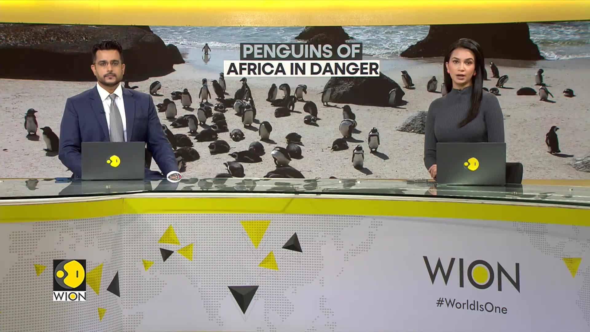 WionNews Video