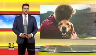 Pet Industry Shifts Towards Quality Over Quantity