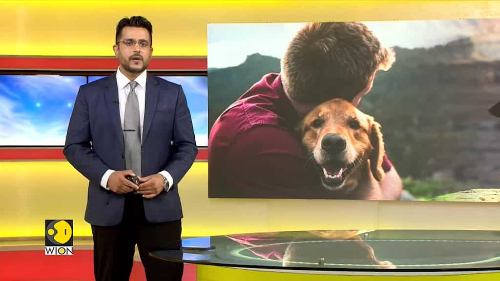 Pet Industry Shifts Towards Quality Over Quantity