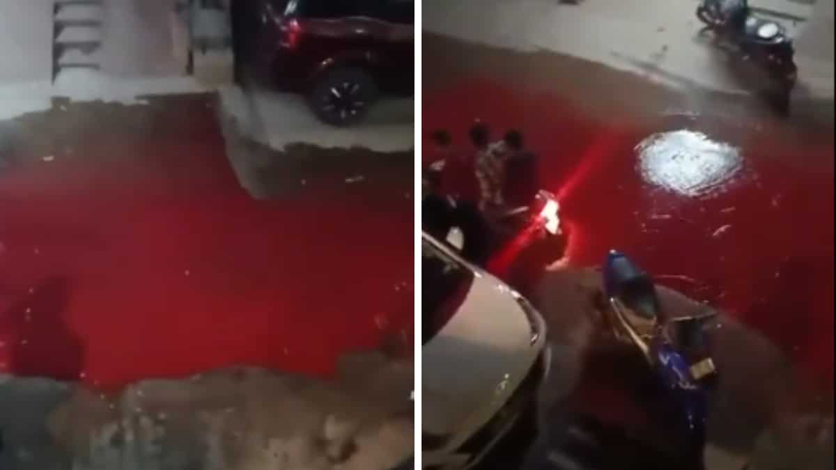 Watch: Mysterious blood-red liquid fills streets of Hyderabad, leaves people horrified Watch: Mysterious blood-red liquid fills streets of Hyderabad, leaves people horrified