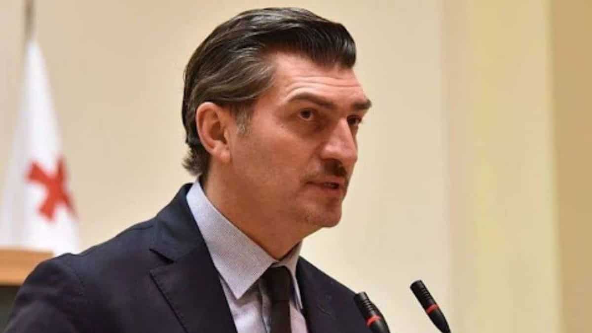 Far-right ex-footballer tapped as Georgia's next president