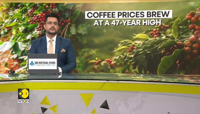 Brazil's Drought Drives Arabica To Highest Price Since 1977 | WION Business Watch | World News