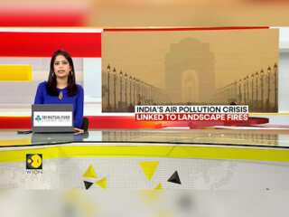 Delhi: Air pollution's Deadly Toll Revealed