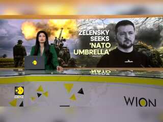 Russia-Ukraine War: Unoccupied Ukraine Should Be Taken Under NATO Umbrella: Zelensky