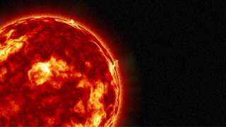 Solar storm 2,687 years ago was so massive that it is embedded in trees