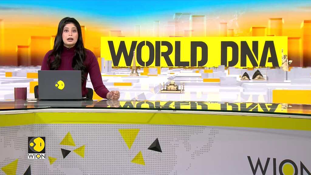 Winters Across The World: Various Countries Get Fresh Snowfall