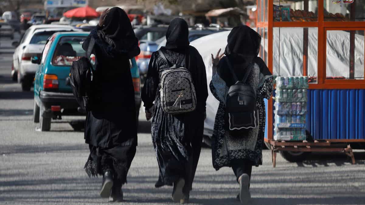 Afghan women 'banned from midwife and nurse education' in Taliban's new decree: Report Afghan women 'banned from midwife and nurse education' in Taliban's new decree: Report