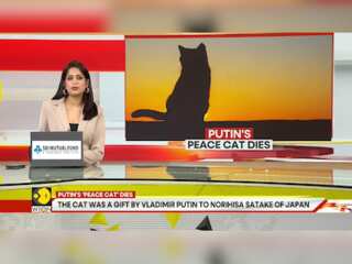 Siberian Cat 'Mir' Was Putin's Gift To Japan | GRAVITAS | WION