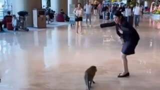 Woman staff calmly talks to monkey at Singapore’s Changi Airport, video goes viral
