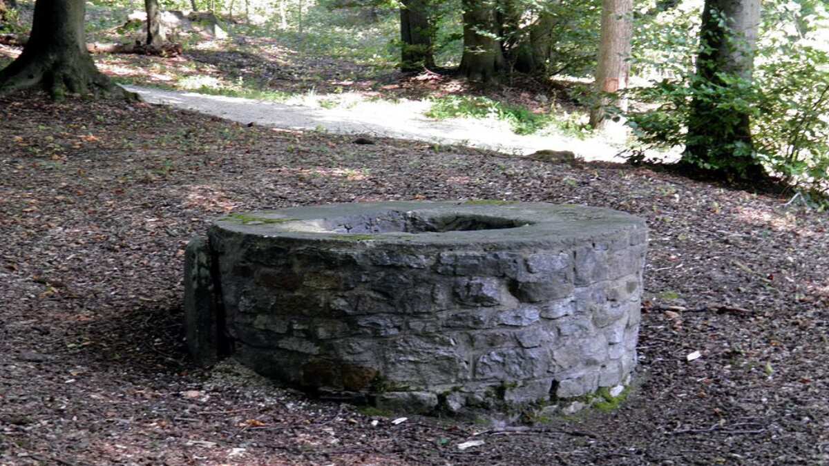 Thai villagers thought a ghost was crying out. What they found left them dumbstruck