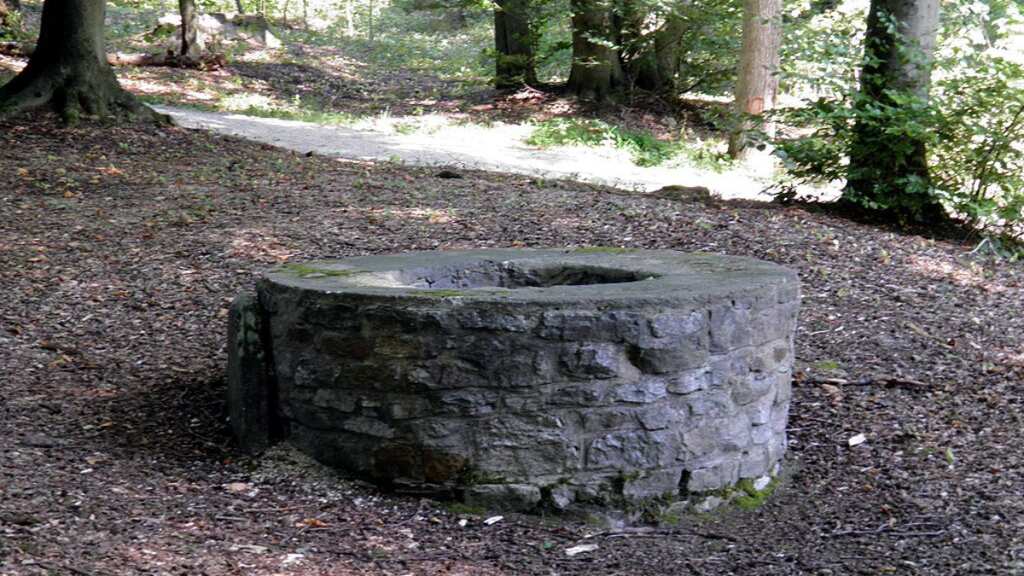 Thai villagers thought a ghost was crying out. What they found left them dumbstruck