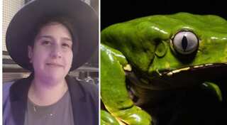 Ritual gone wrong! Mexican actress dies after consuming Amazonian frog venom