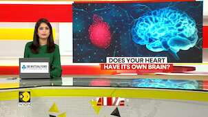 Study Reveals Heart Possesses Its Own Nervous System