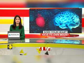 Study Reveals Heart Possesses Its Own Nervous System